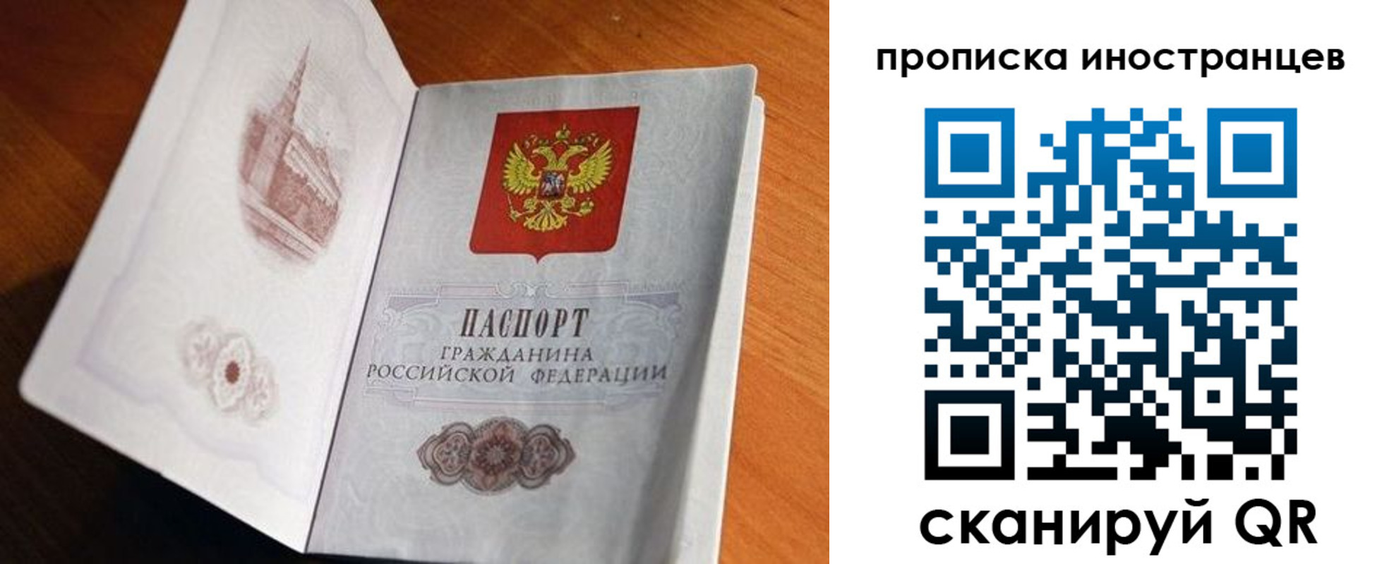 прописка 2025 в Краснозаводске
